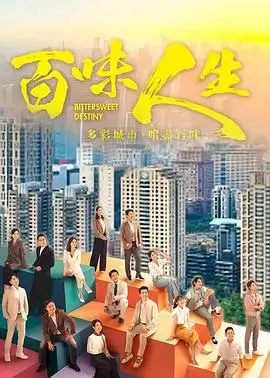 雾港迷局 悬疑电视剧高清在线观看